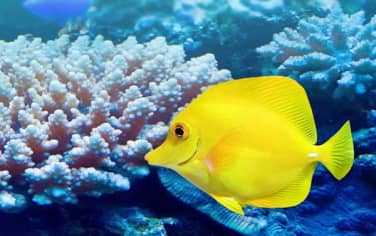 Featured Cruise Deals